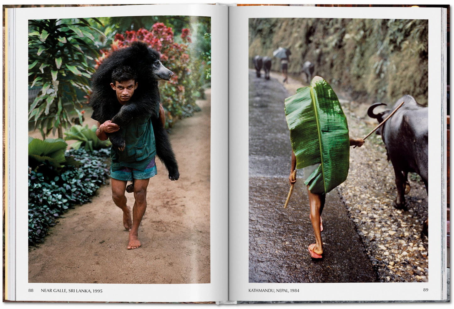 Steve McCurry. Animales