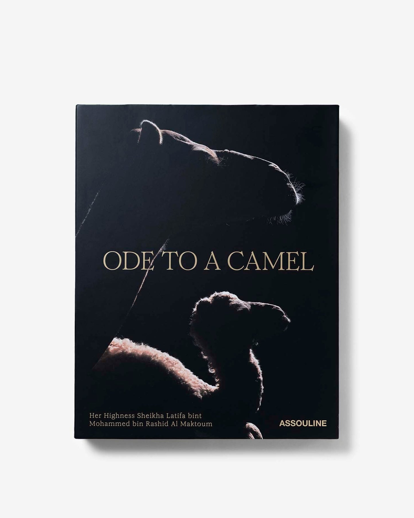 ODE TO A CAMEL