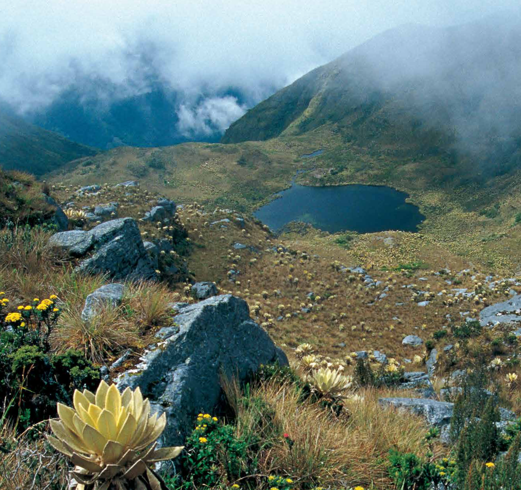 Parques Naturales de Colombia-Weaving The Planet & Villegas Editores-Libros