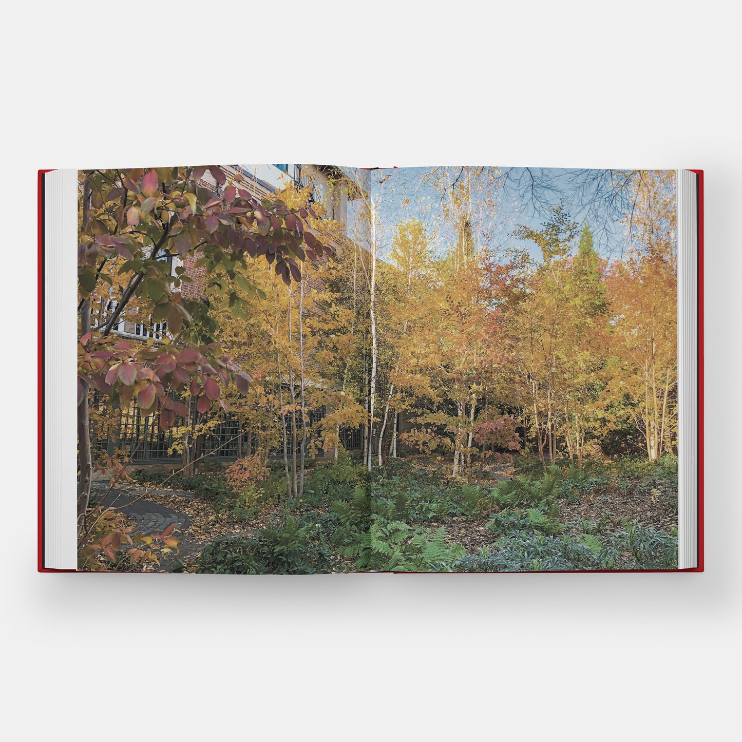 Diseño de un jardín: el jardín del monje en el Museo Isabella Stewart Gardner