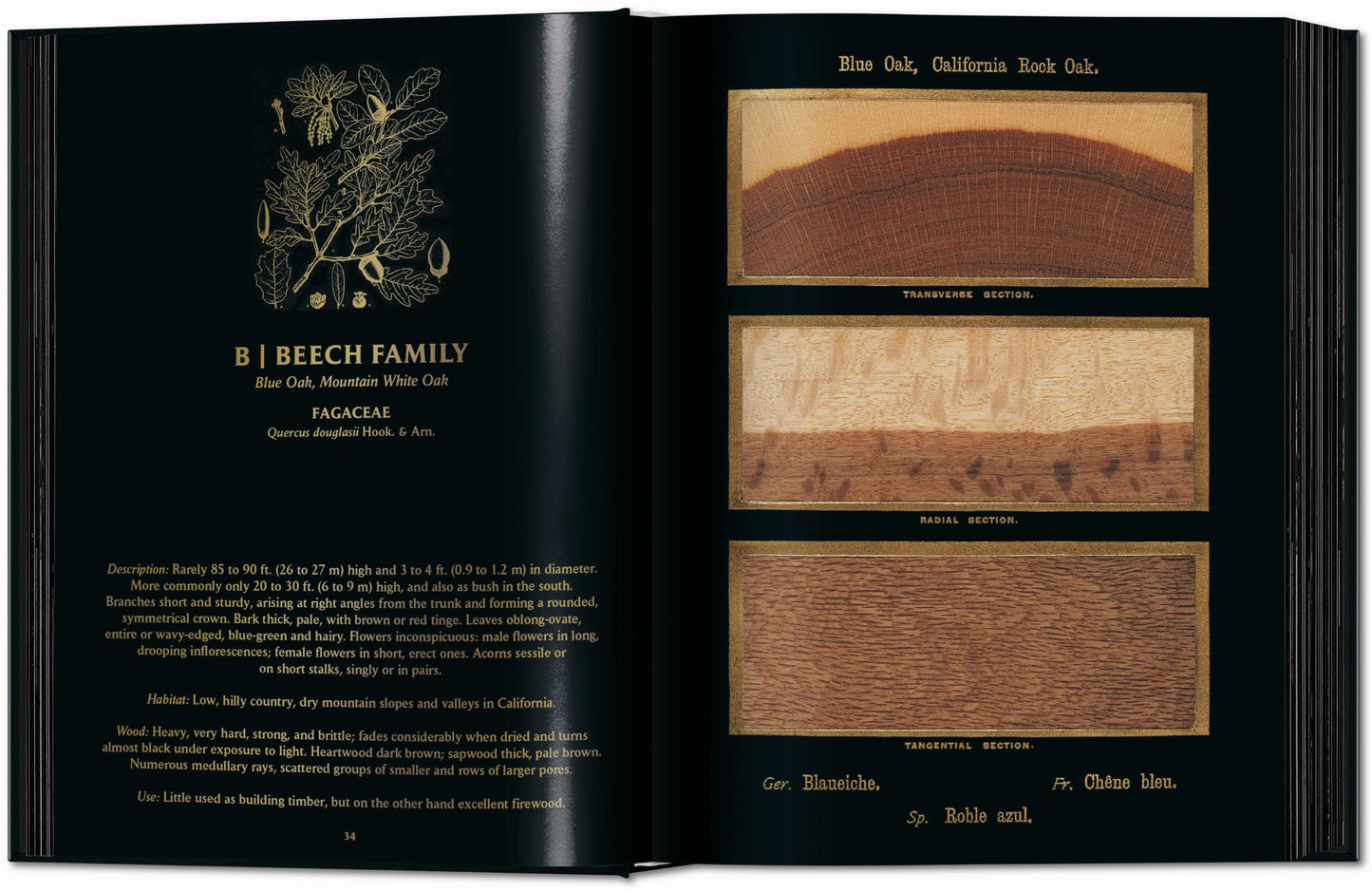 Romeyn B. Hough. El libro de la madera. Láminas completas