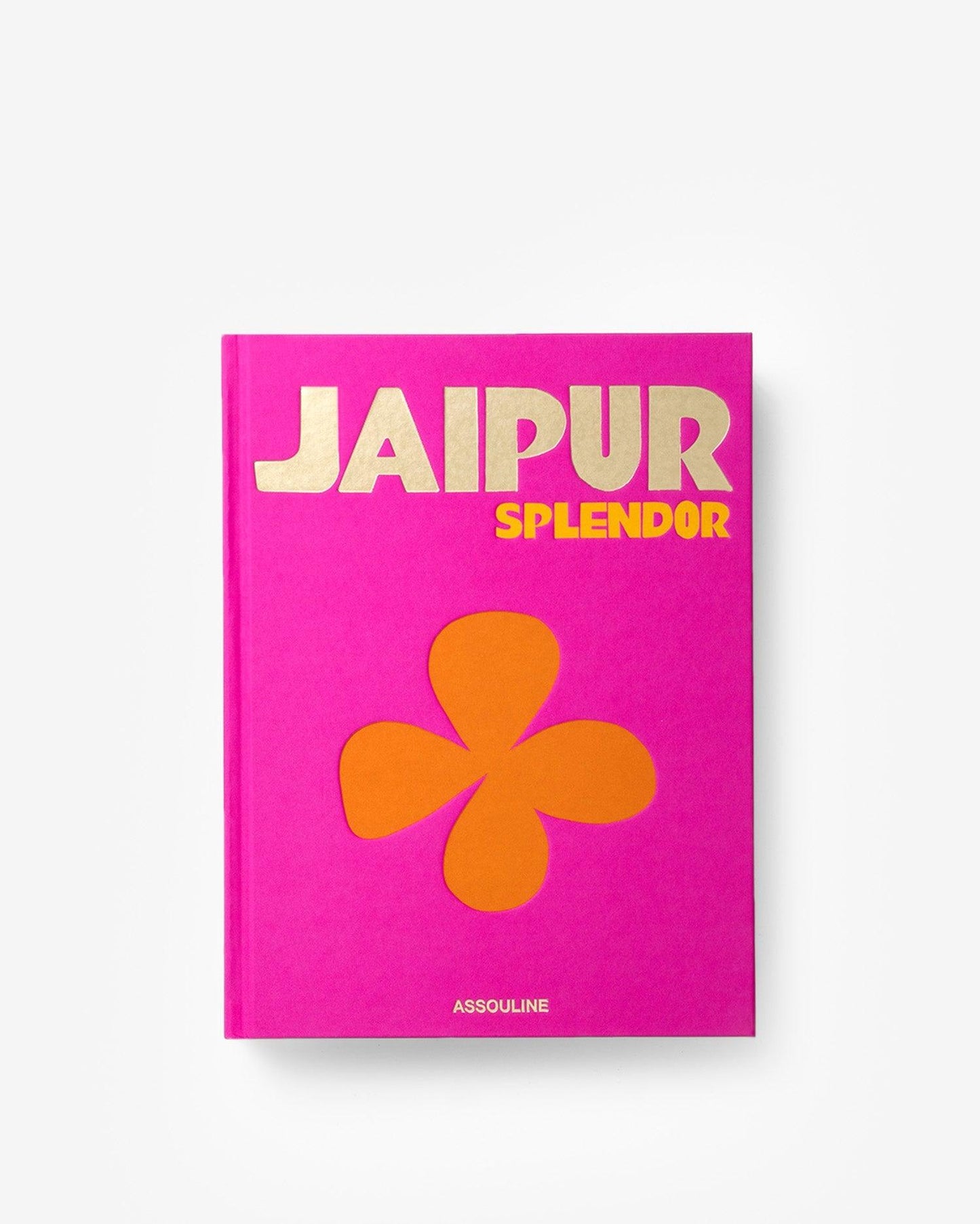 ESPLENDOR DE JAIPUR