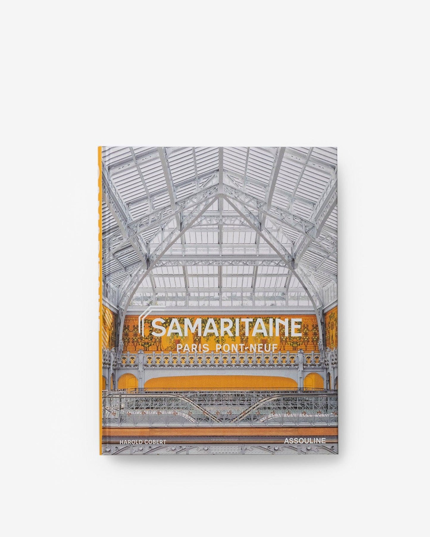 SAMARITAINE: PARÍS PONT-NEUF