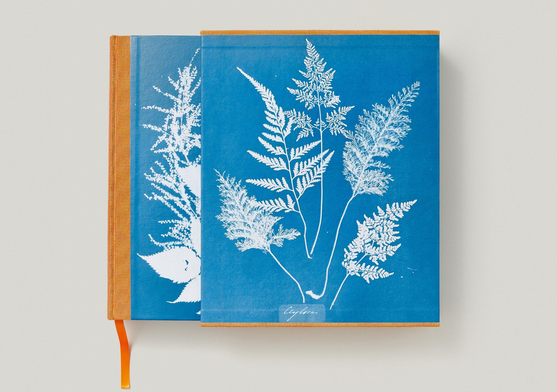 Anna Atkins. Cianotipos