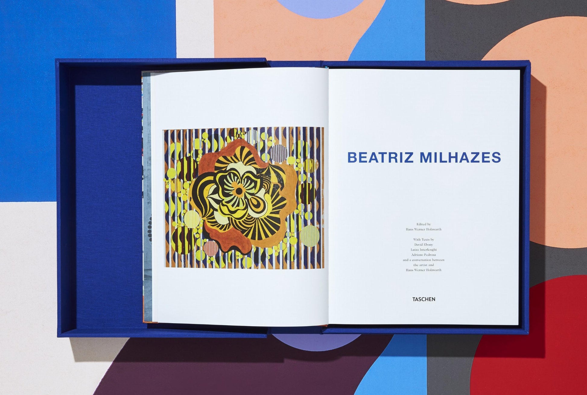 Beatriz Milhazes