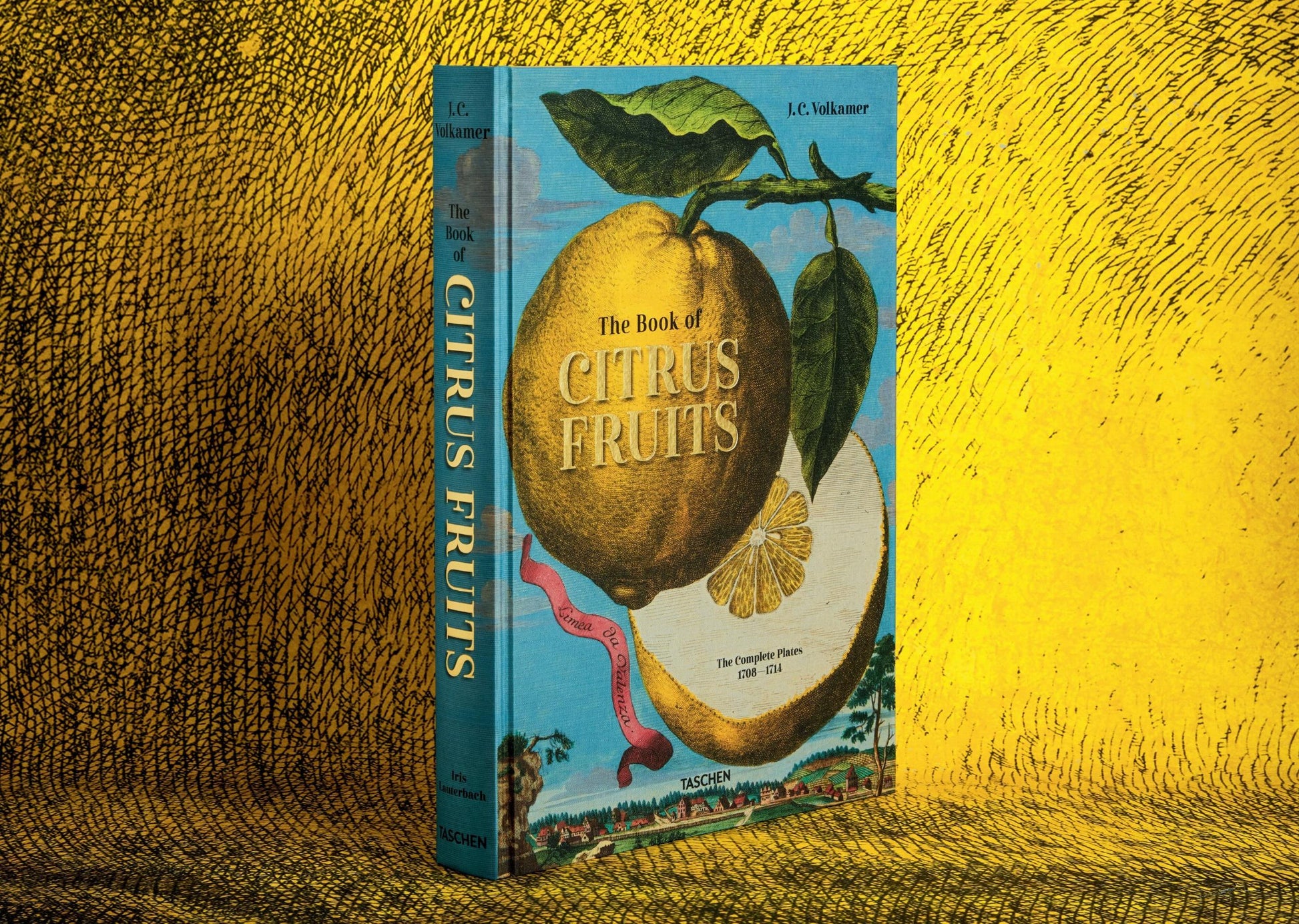 J.C. Volkamer. El libro de los cítricos