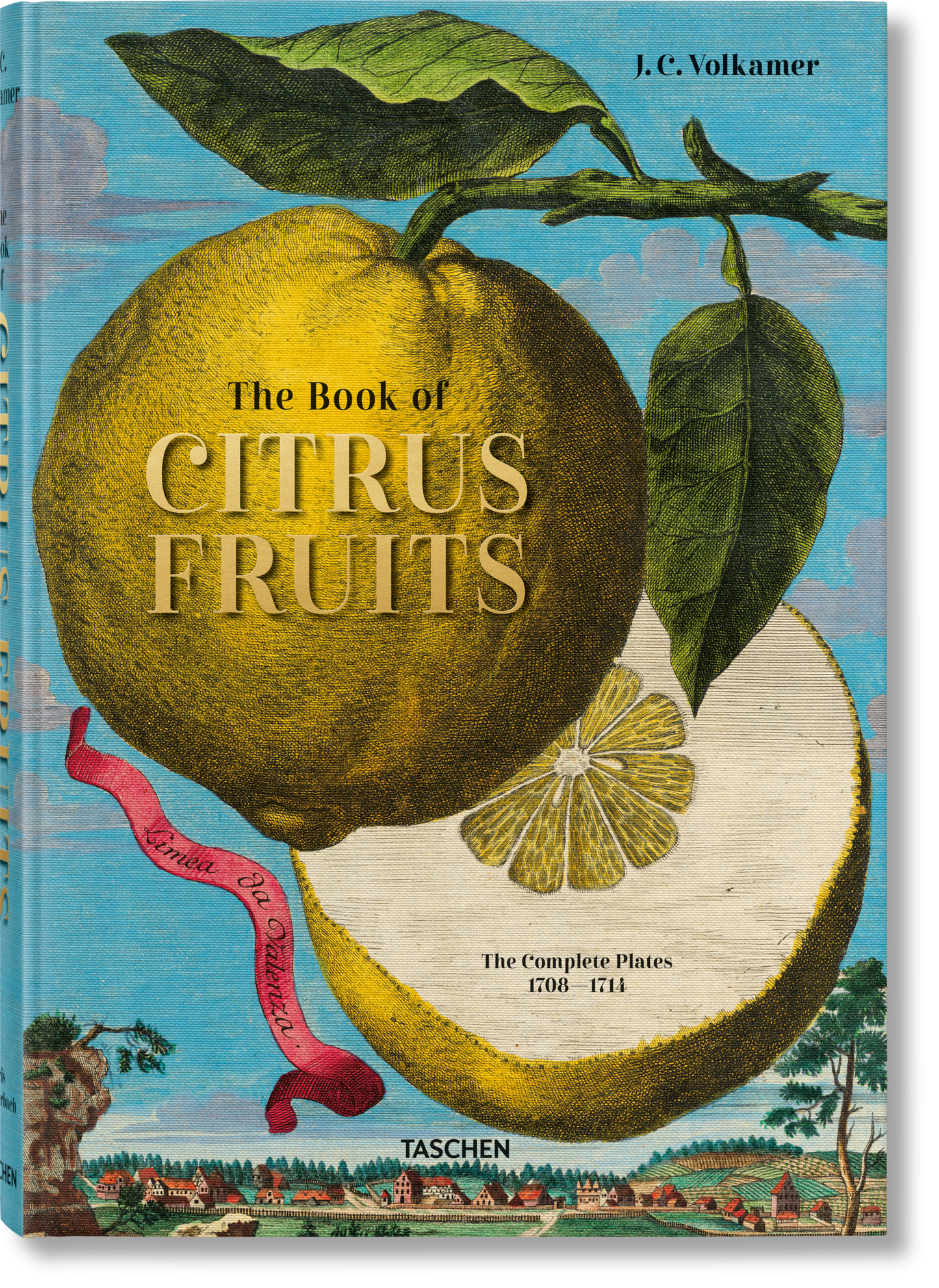 J.C. Volkamer. El libro de los cítricos