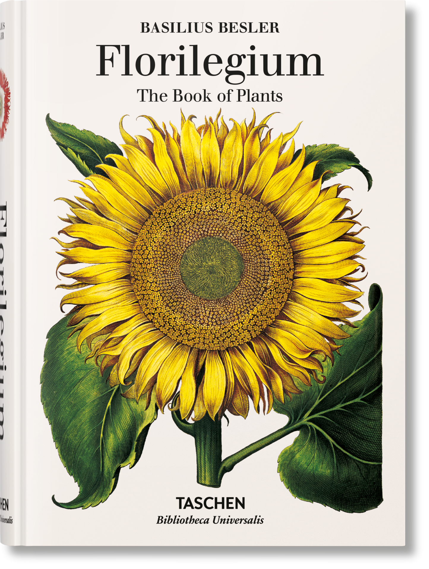 Basilius Besler. Florilegio. El libro de las plantas