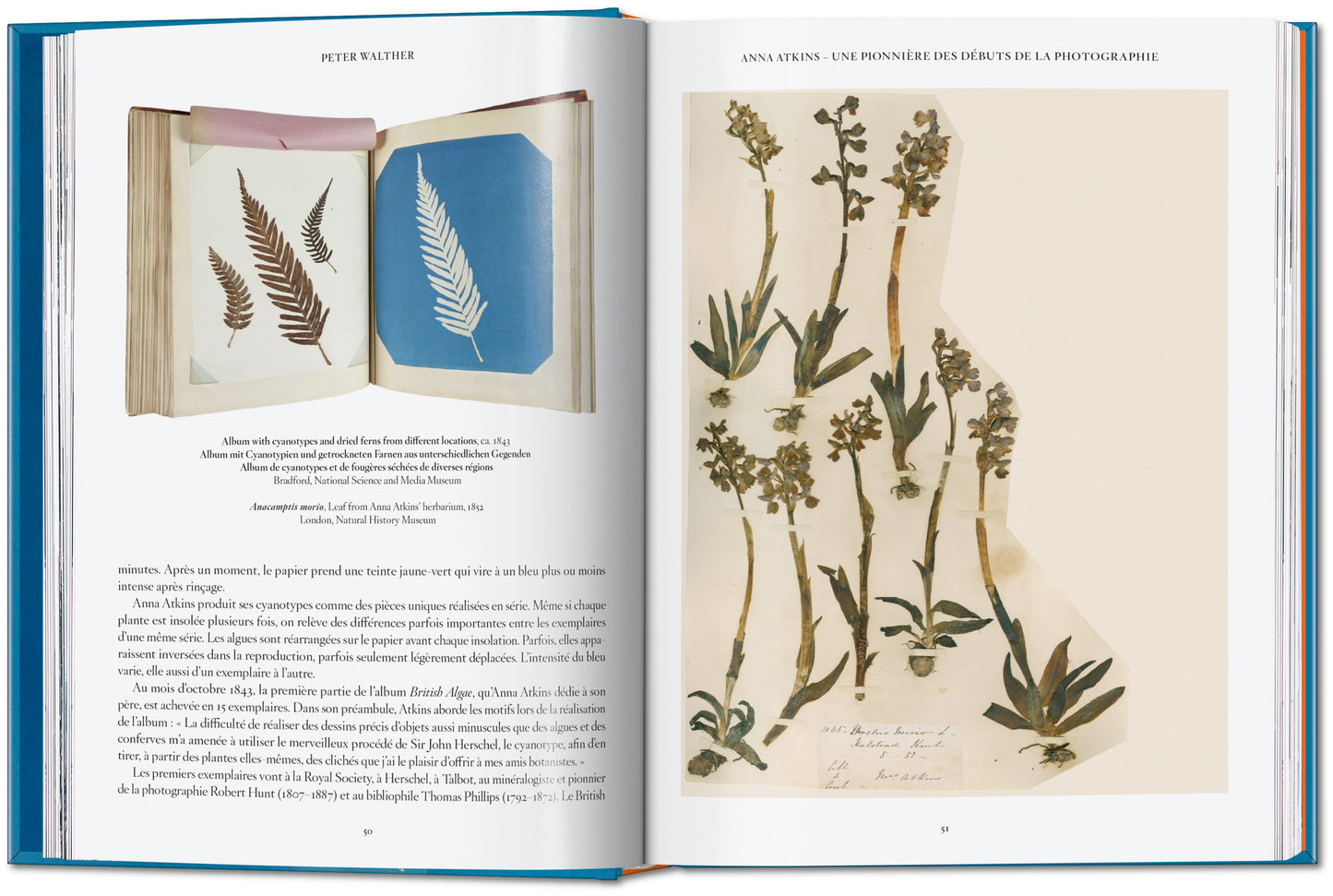 ANNA ATKINS. CYANOTYPES. 45TH ED.