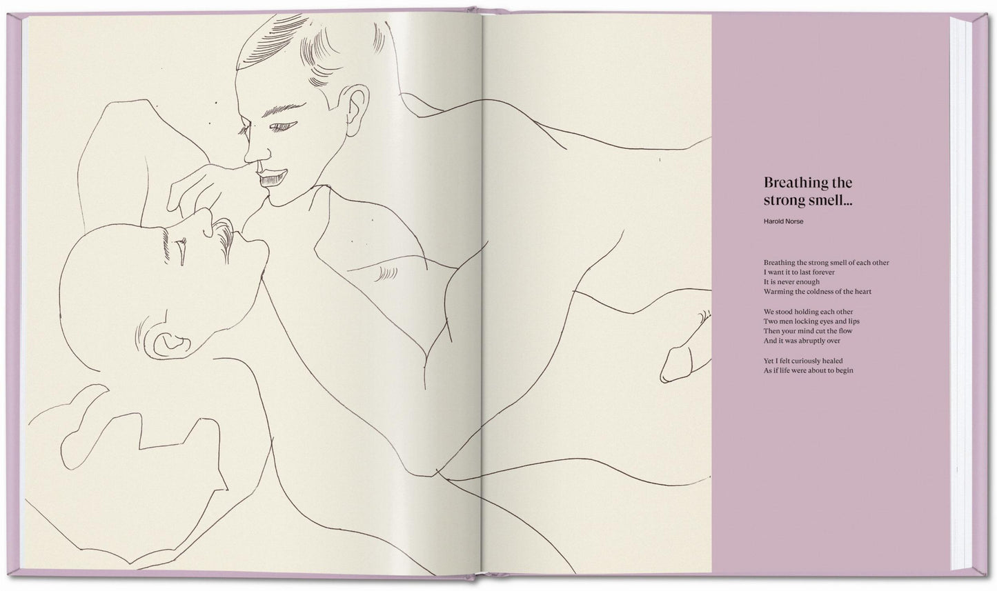 Andy Warhol. Amor, sexo y deseo. Dibujos 1950-1962