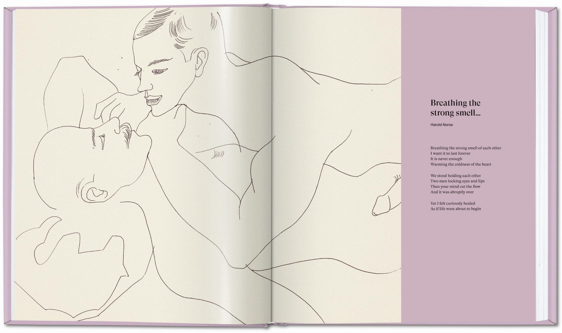 Andy Warhol. Amor, sexo y deseo. Dibujos 1950-1962