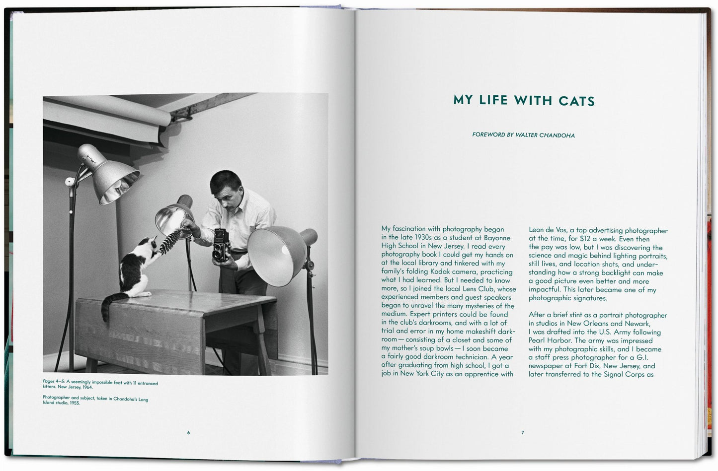 Walter Chandoha. Gatos. Fotografías 1942–2018