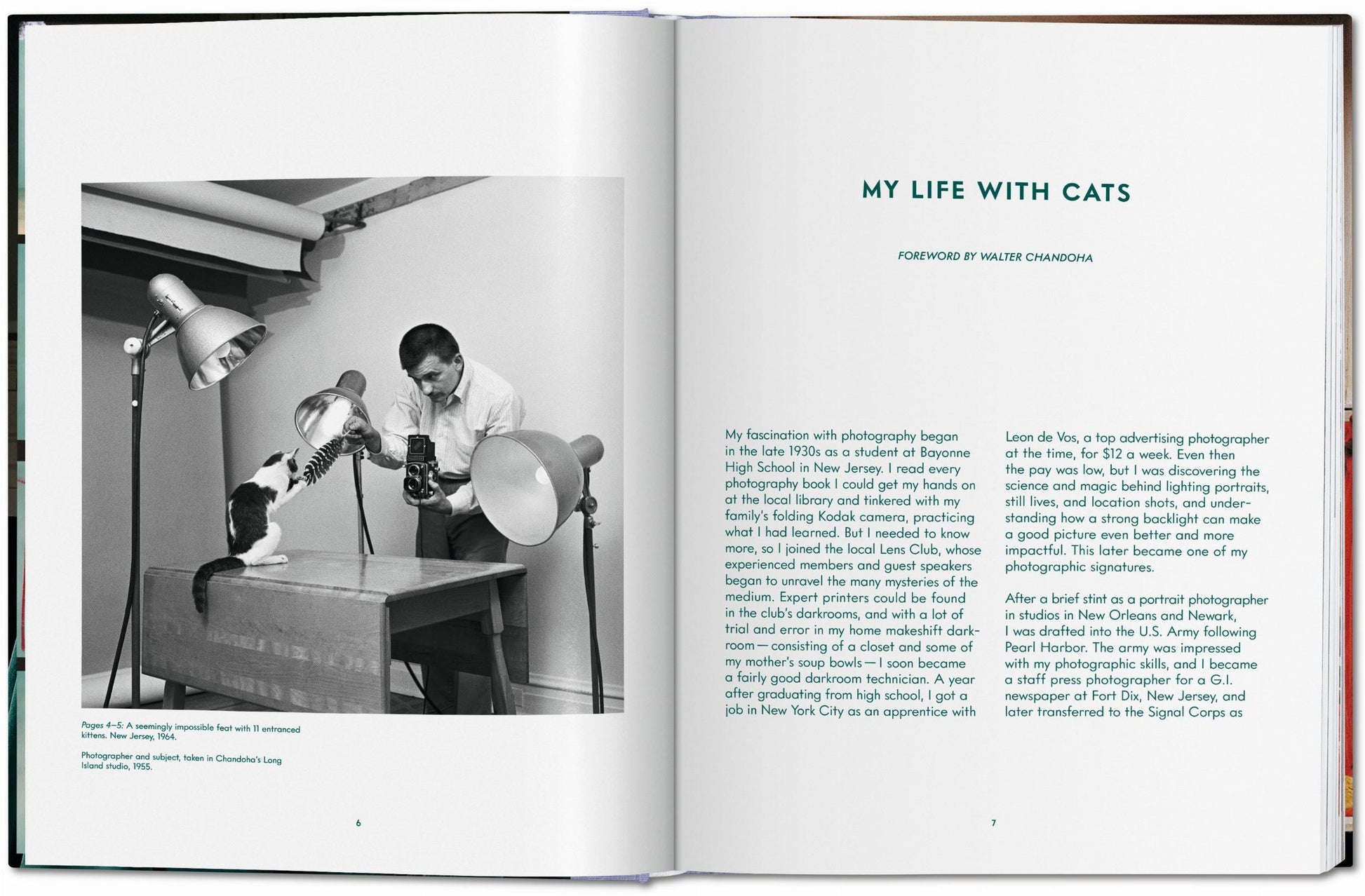 Walter Chandoha. Gatos. Fotografías 1942–2018