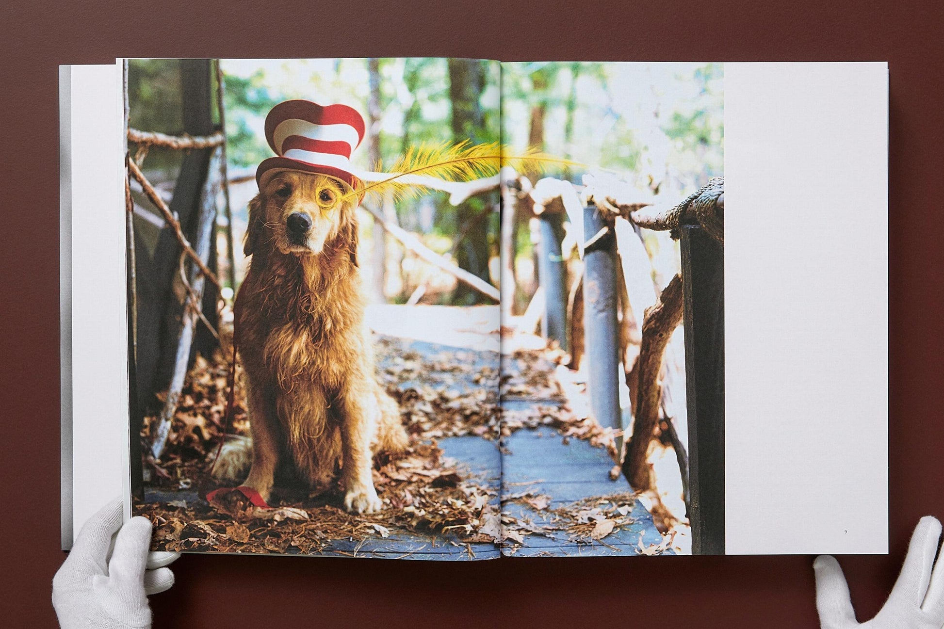 BRUCE WEBER. THE GOLDEN RETRIEVER PHOTOGRAPHIC SOCIETY