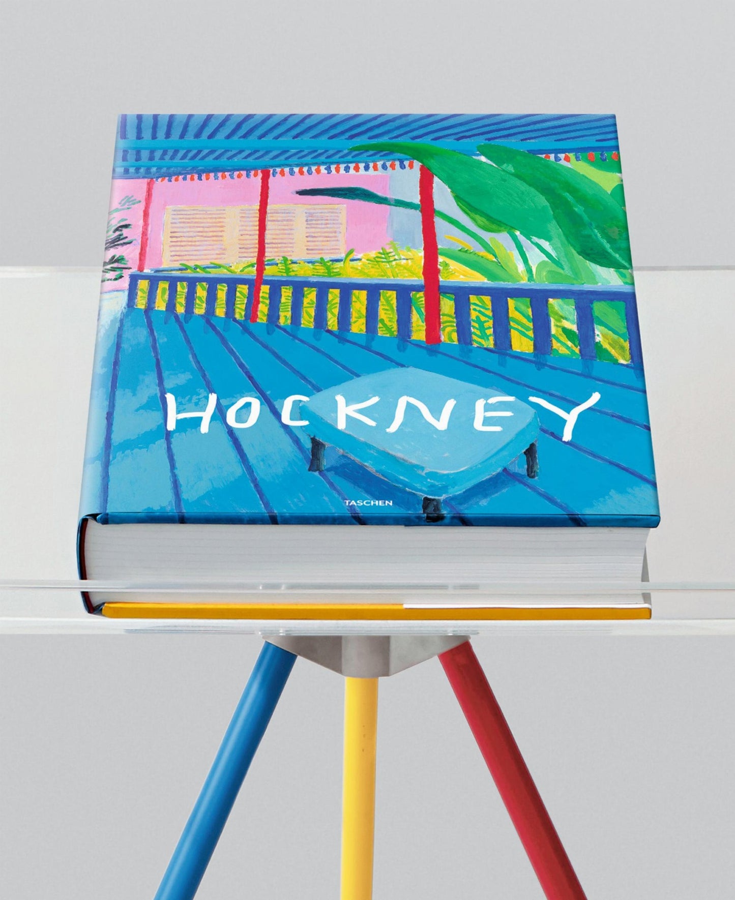 David Hockney. Un libro más grande