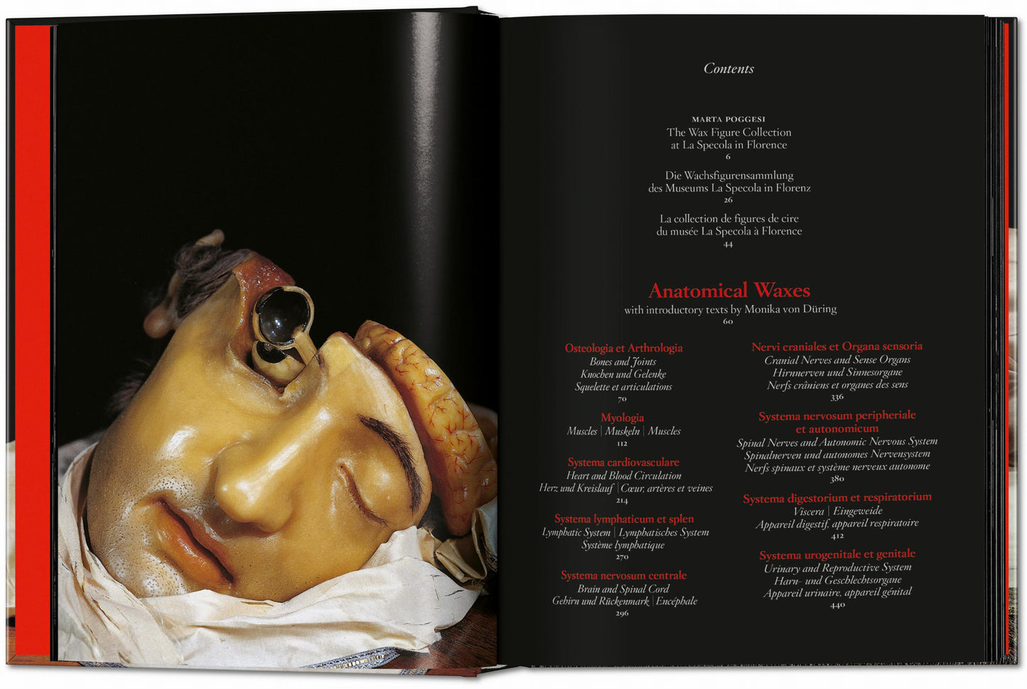 Ceras Anatómicas. 45.ª ed.