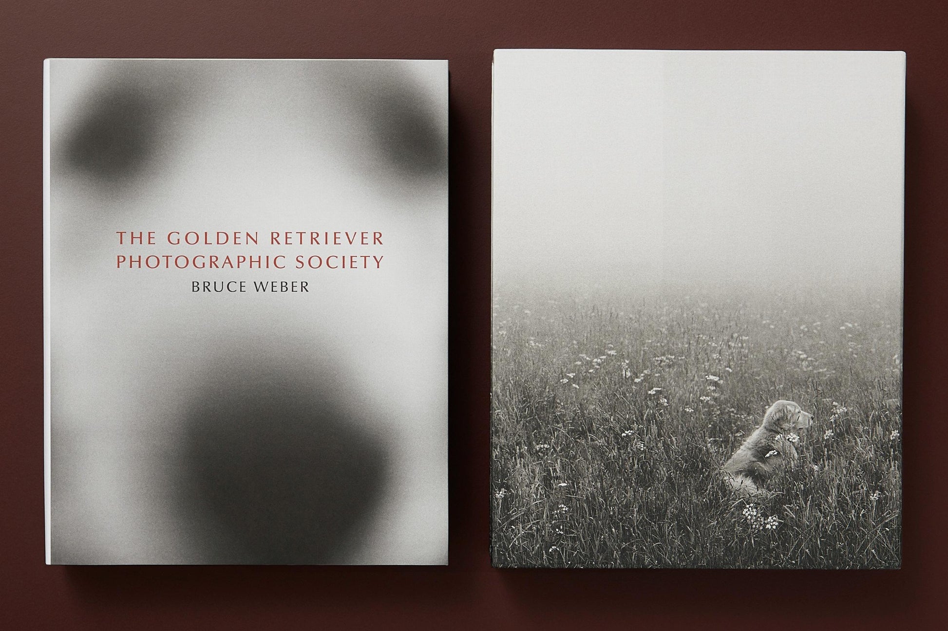 BRUCE WEBER. THE GOLDEN RETRIEVER PHOTOGRAPHIC SOCIETY