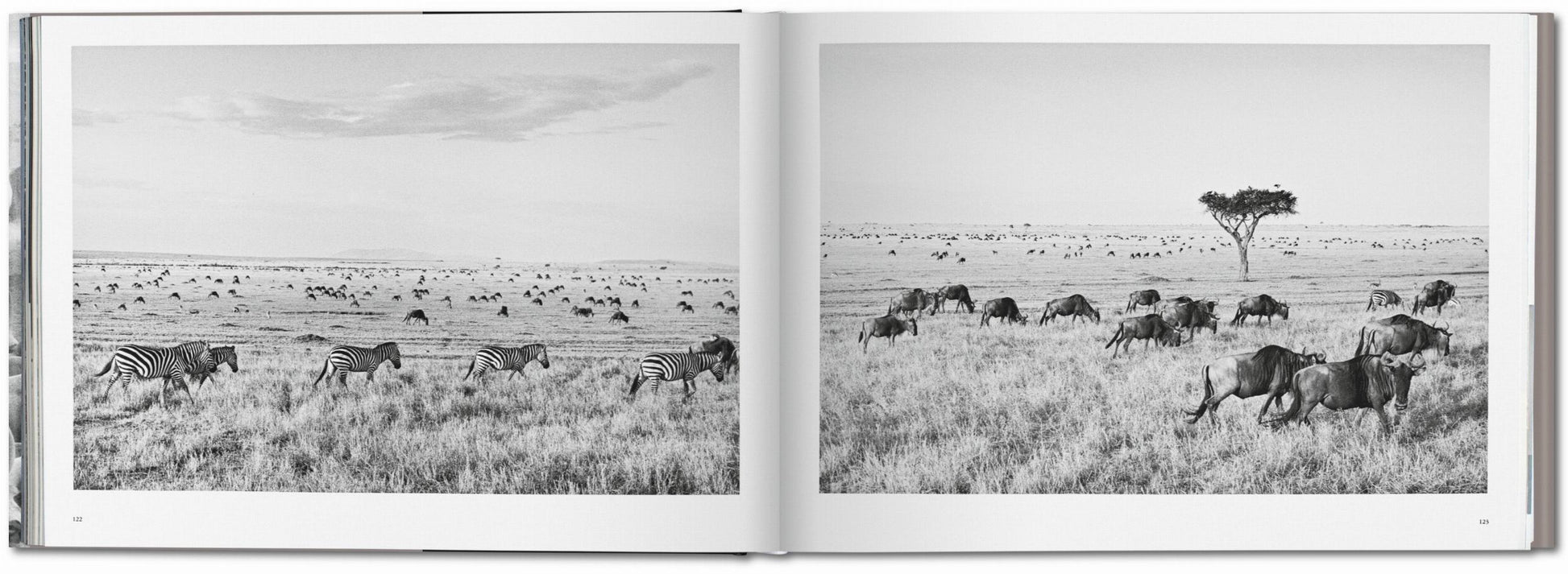 Sebastião Salgado. África