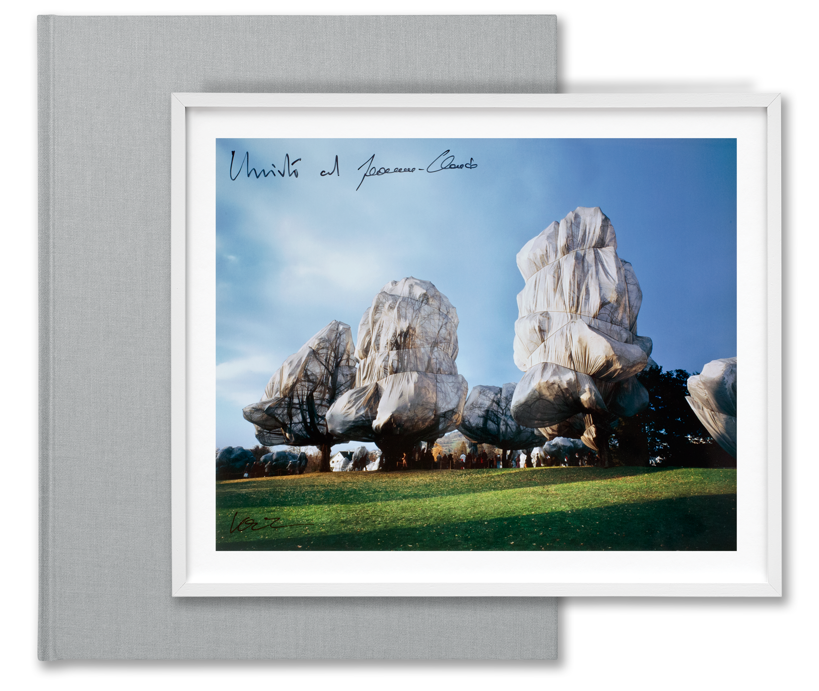 Christo and Jeanne-Claude. Wrapped Trees. Basel 1997–1998