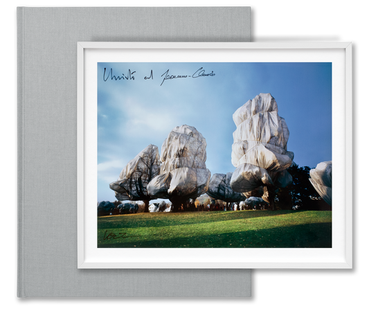Christo y Jeanne-Claude. Árboles Embalados. Basilea 1997–1998