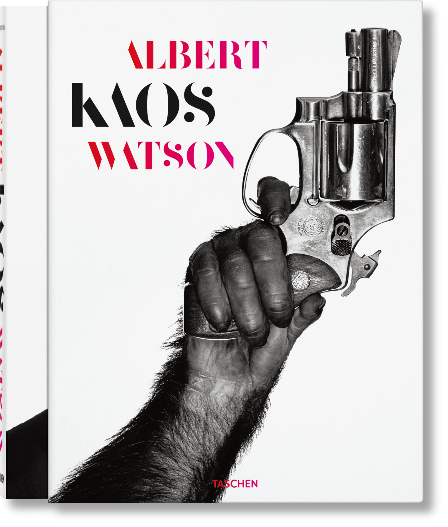 Albert Watson. Caos