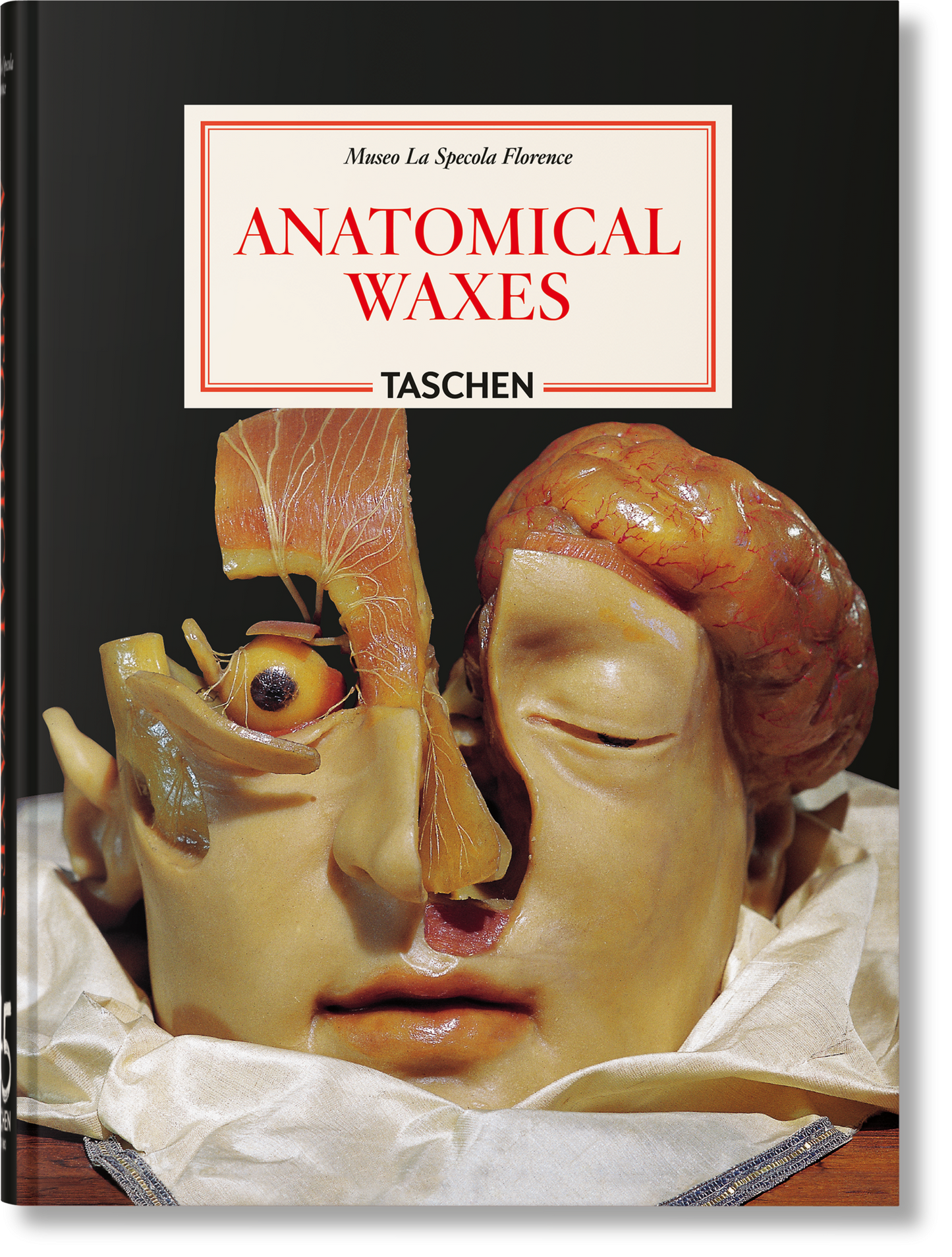 Ceras Anatómicas. 45.ª ed.