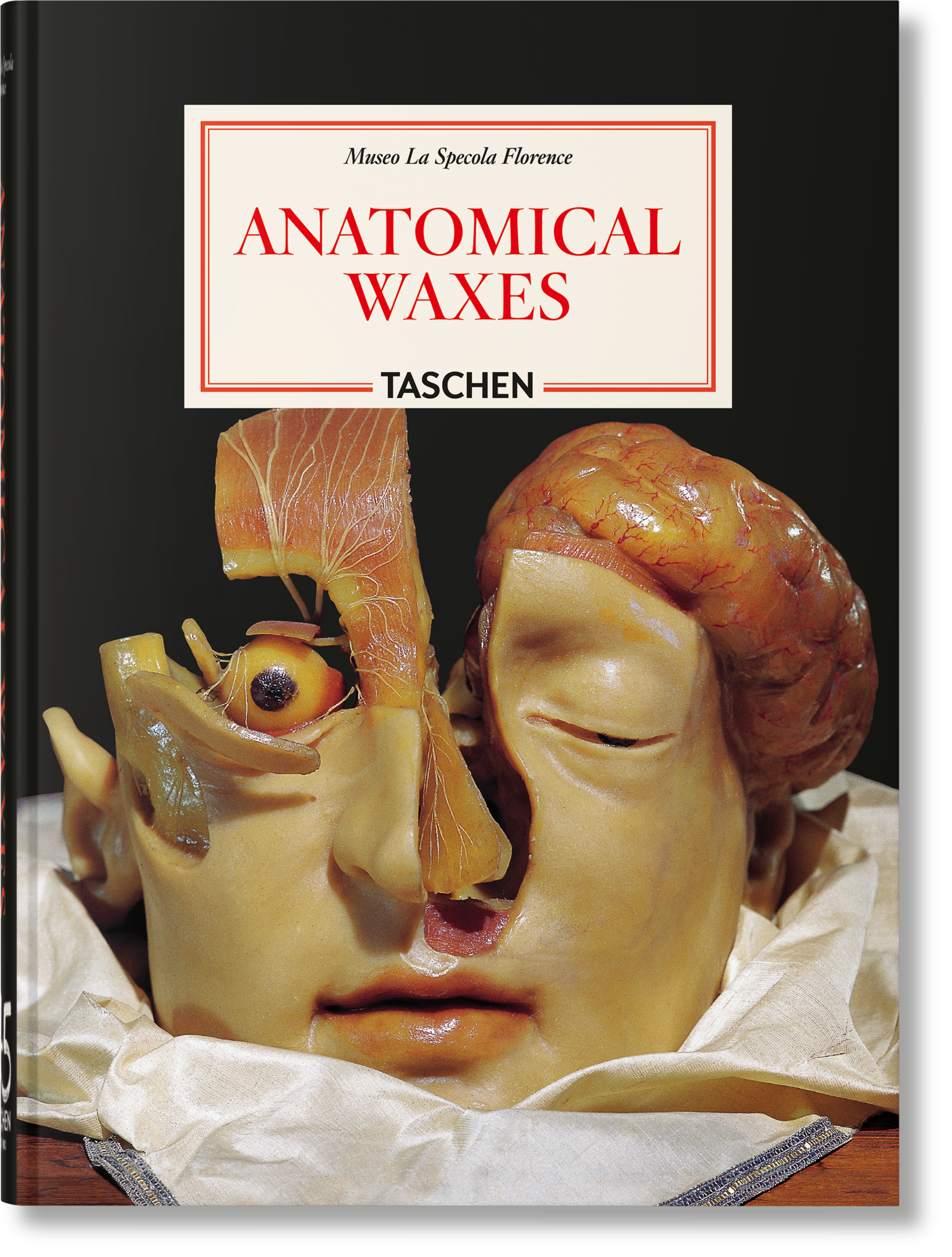 Ceras Anatómicas. 45.ª ed.