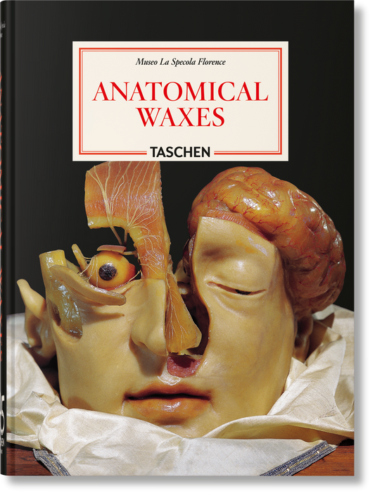 Ceras Anatómicas. 45.ª ed.