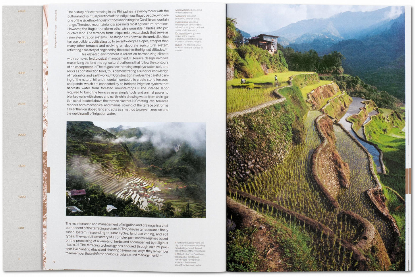 Julia Watson. Lo—TEK. Diseño por Indigenismo Radical
