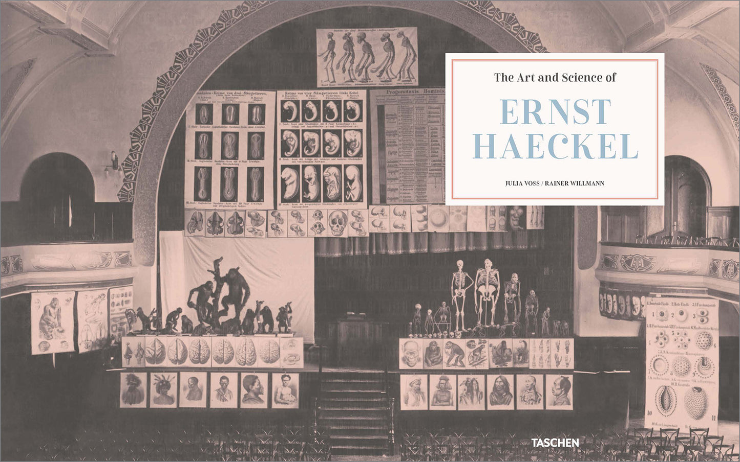 The Art and Science of Ernst Haeckel