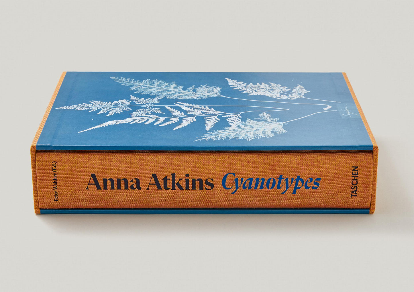 Anna Atkins. Cianotipos