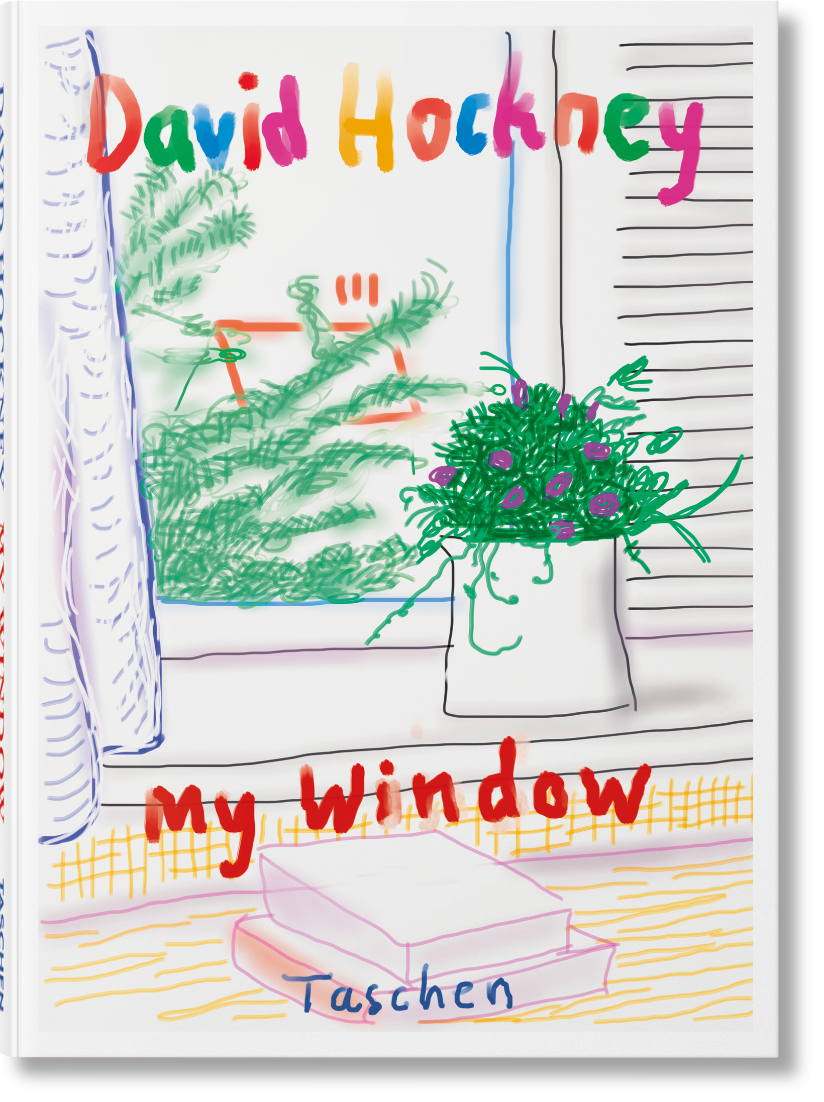 David Hockney. Mi ventana