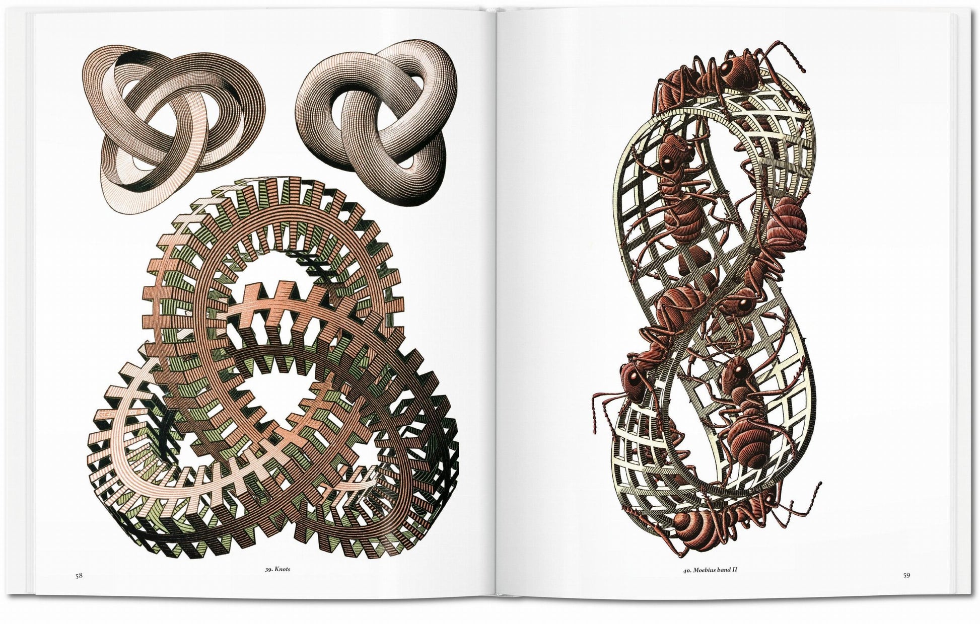 M.C. ESCHER. THE GRAPHIC WORK