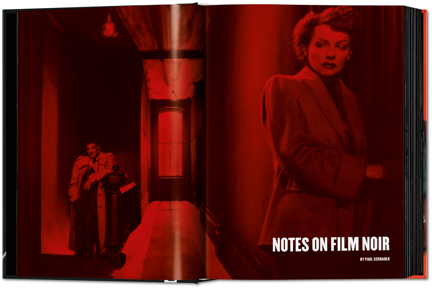 Cine negro. 100 favoritos de todos los tiempos