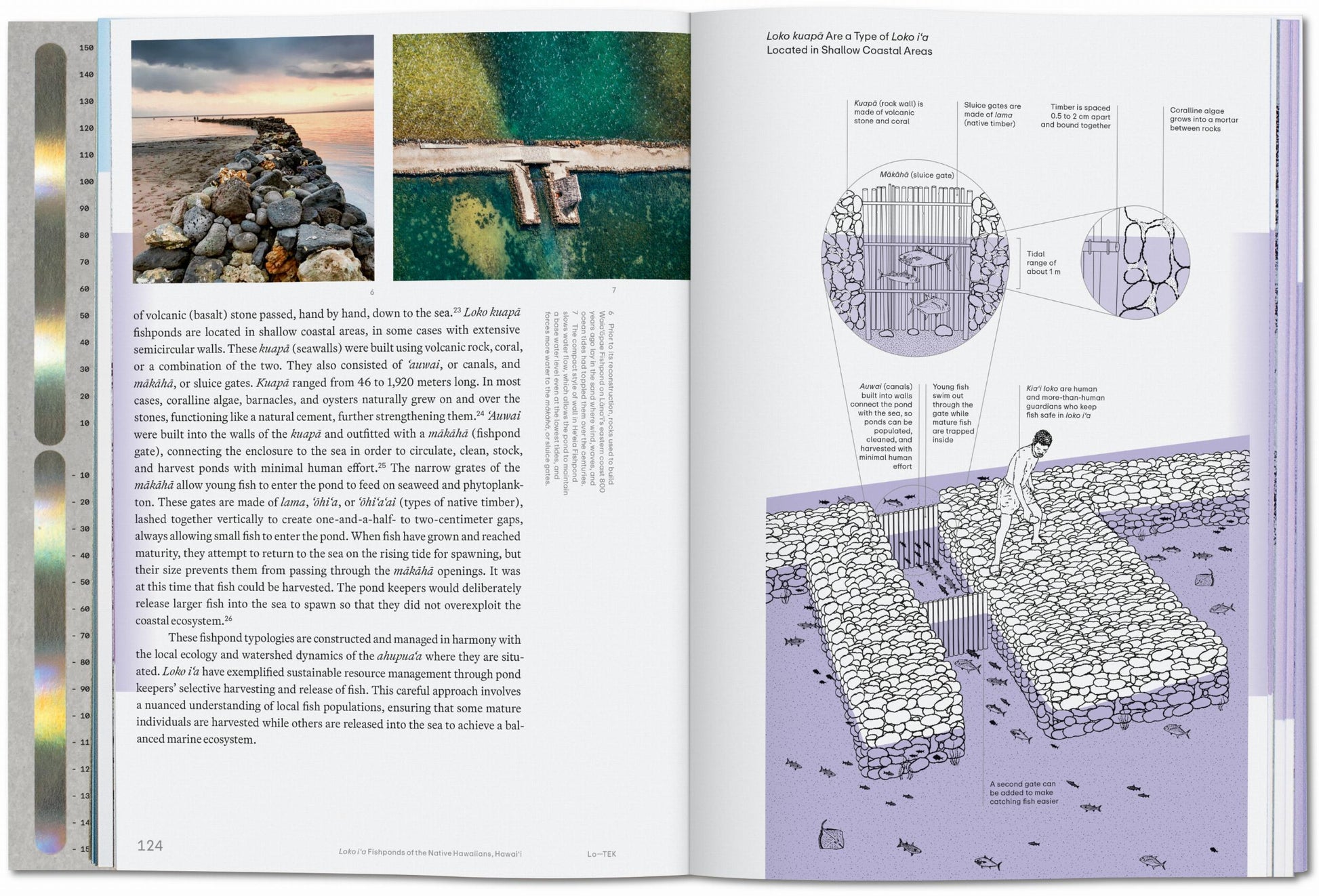 Julia Watson. Lo—TEK. Agua. Una guía de campo para la TEKnología