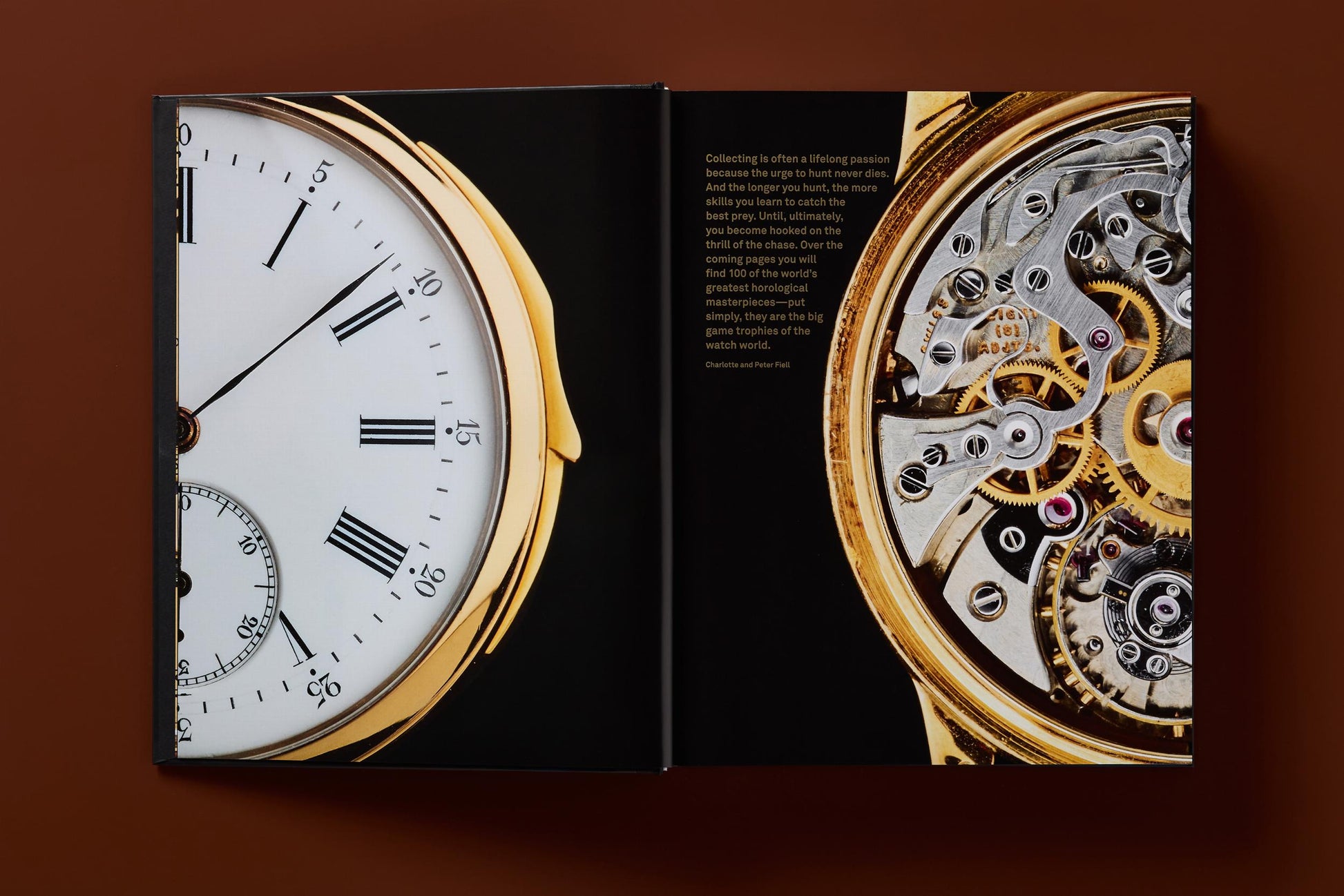 Relojes de Colección Definitivos