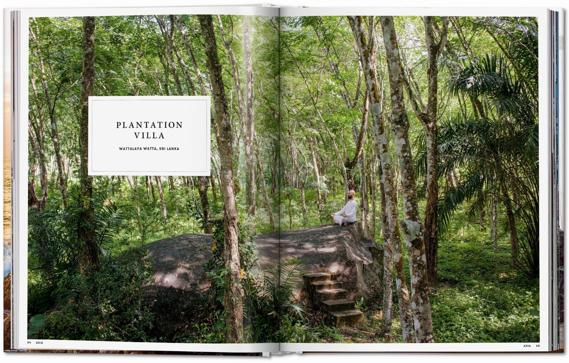Great Escapes Yoga. El libro del retiro