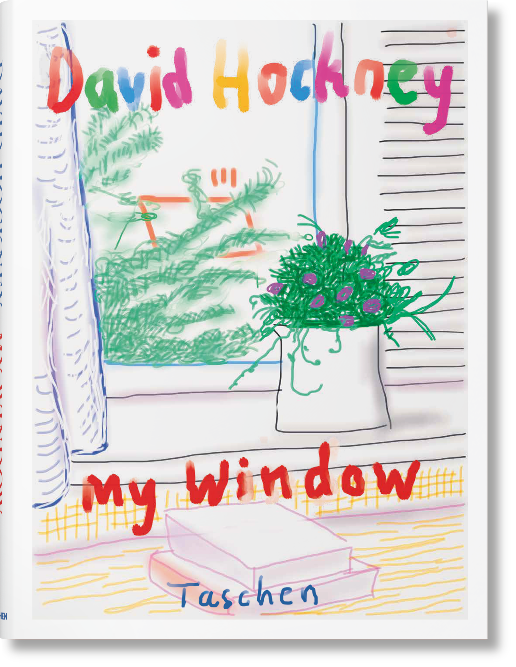 David Hockney. Mi ventana