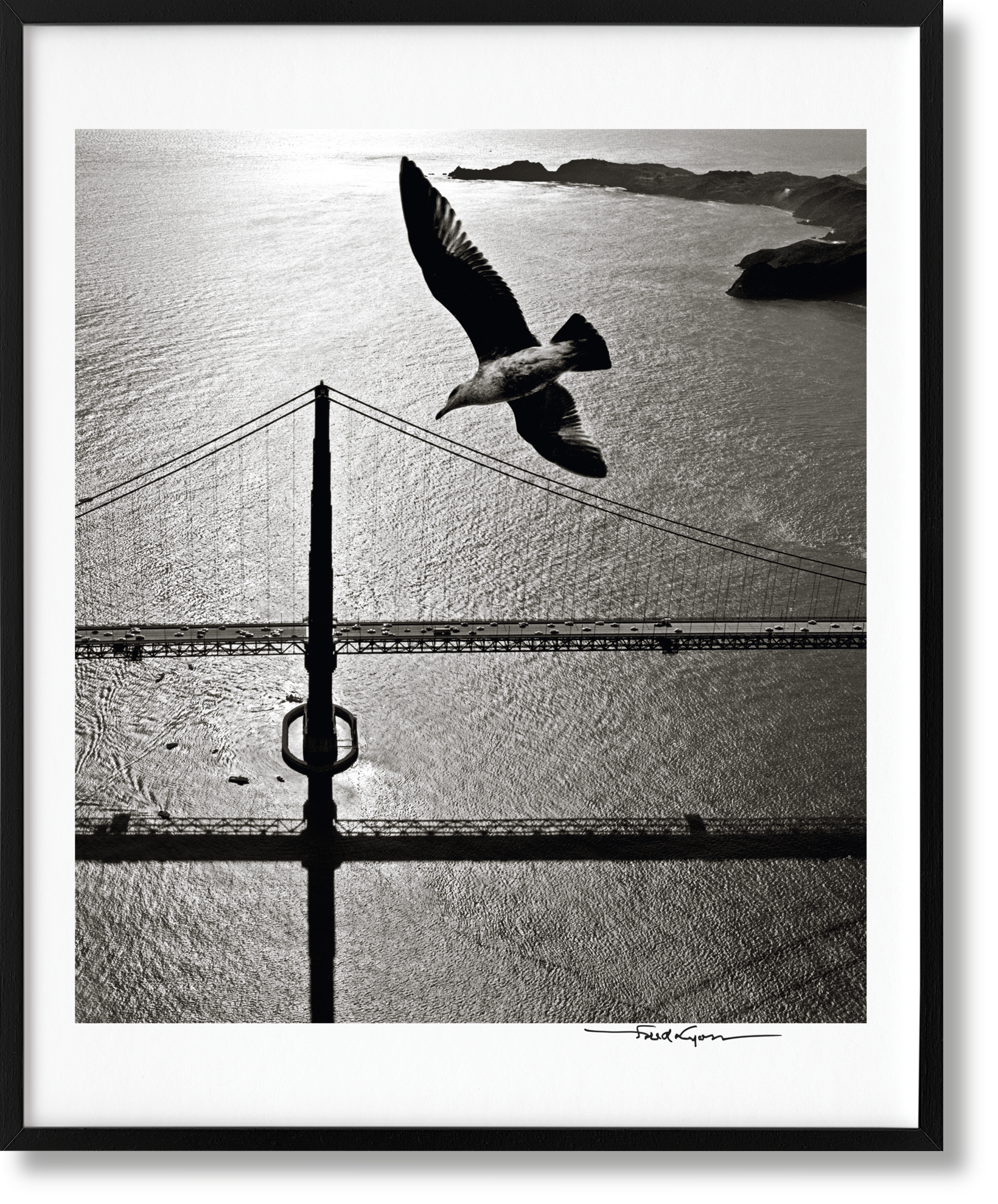 San Francisco. Retrato de una ciudad, Edición de arte n.º 76–150 "Gaviota sobre el puente Golden Gate, principios de los años 50"
