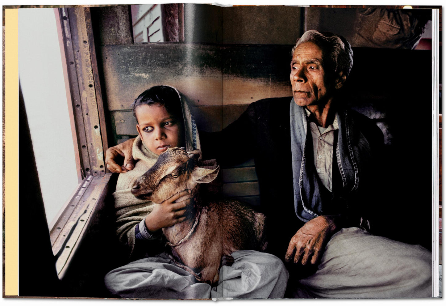 Steve McCurry. Animales