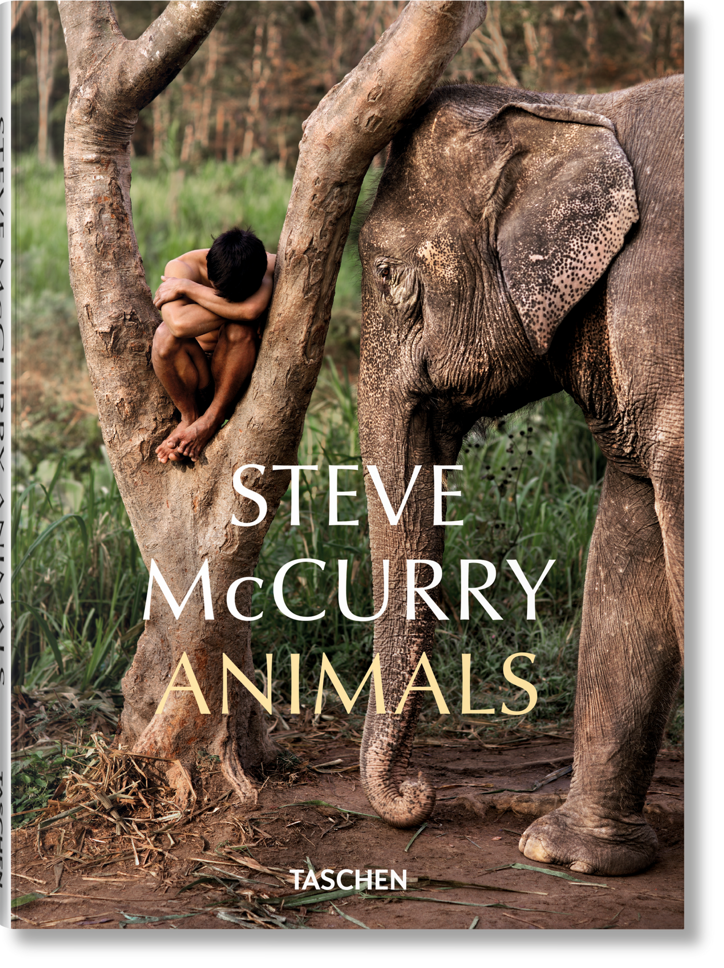 Steve McCurry. Animales