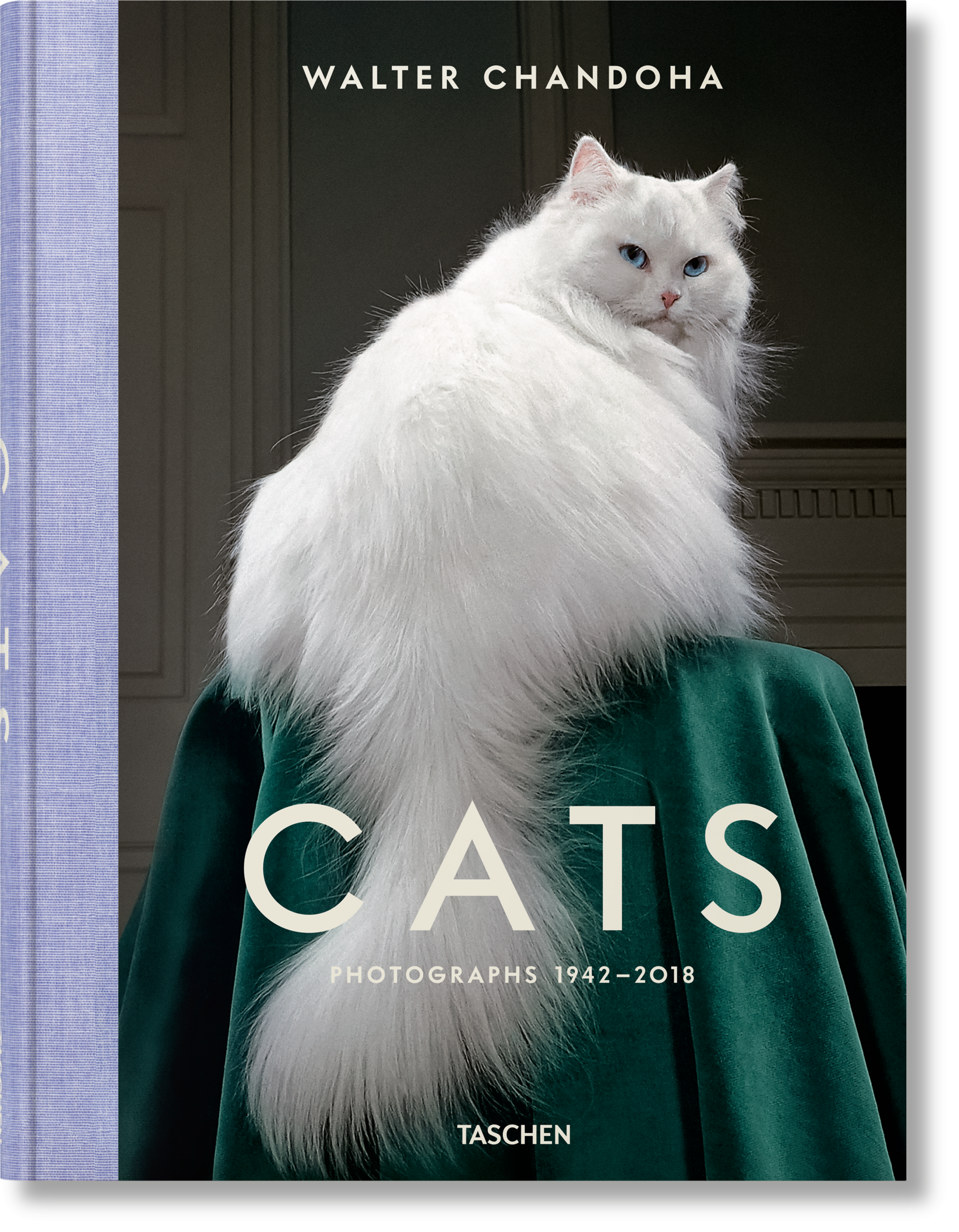 Walter Chandoha. Gatos. Fotografías 1942–2018