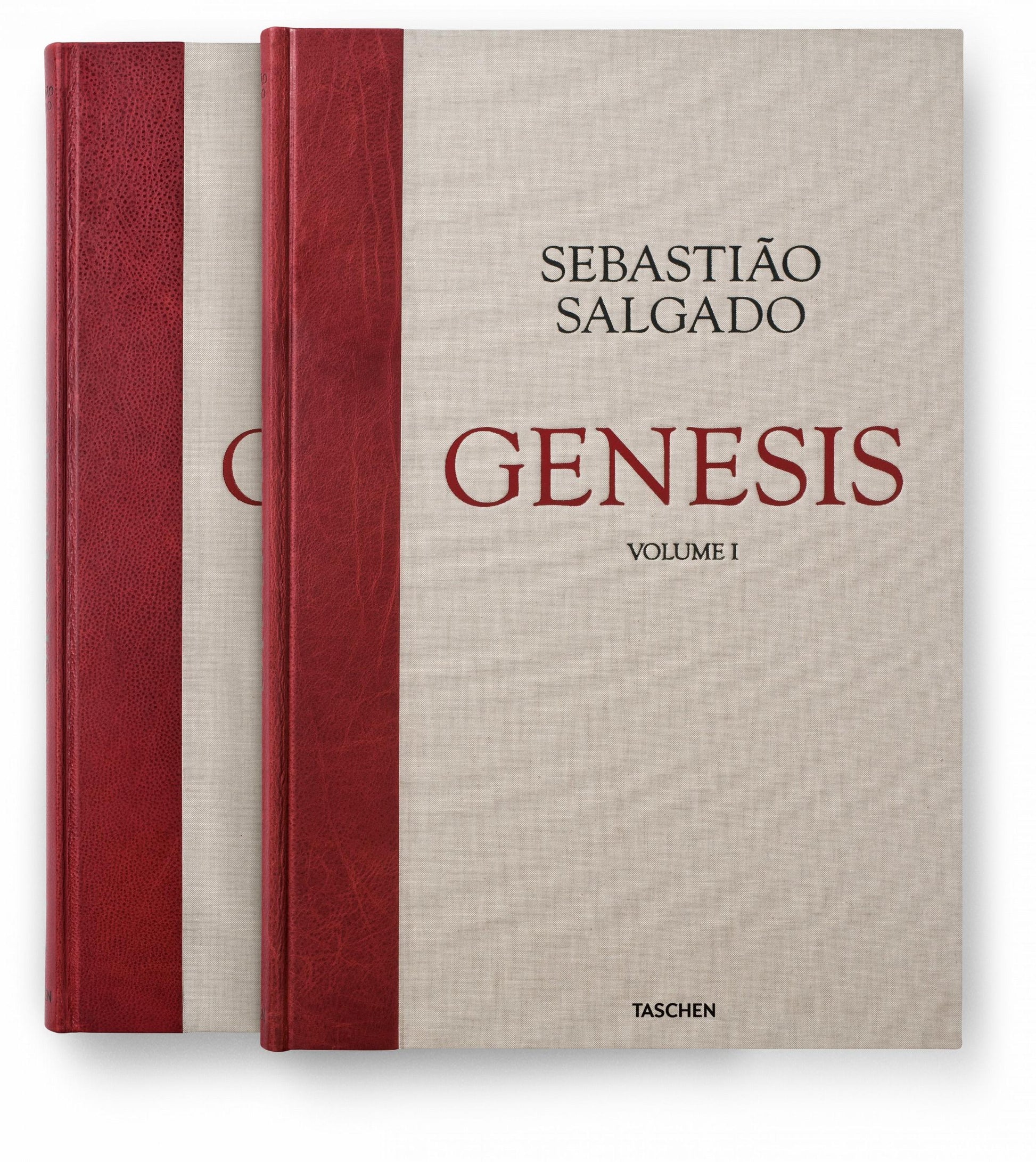 Sebastião Salgado. Génesis