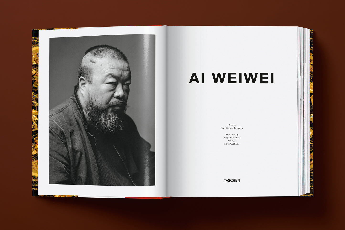 Ai Weiwei. Edición actualizada
