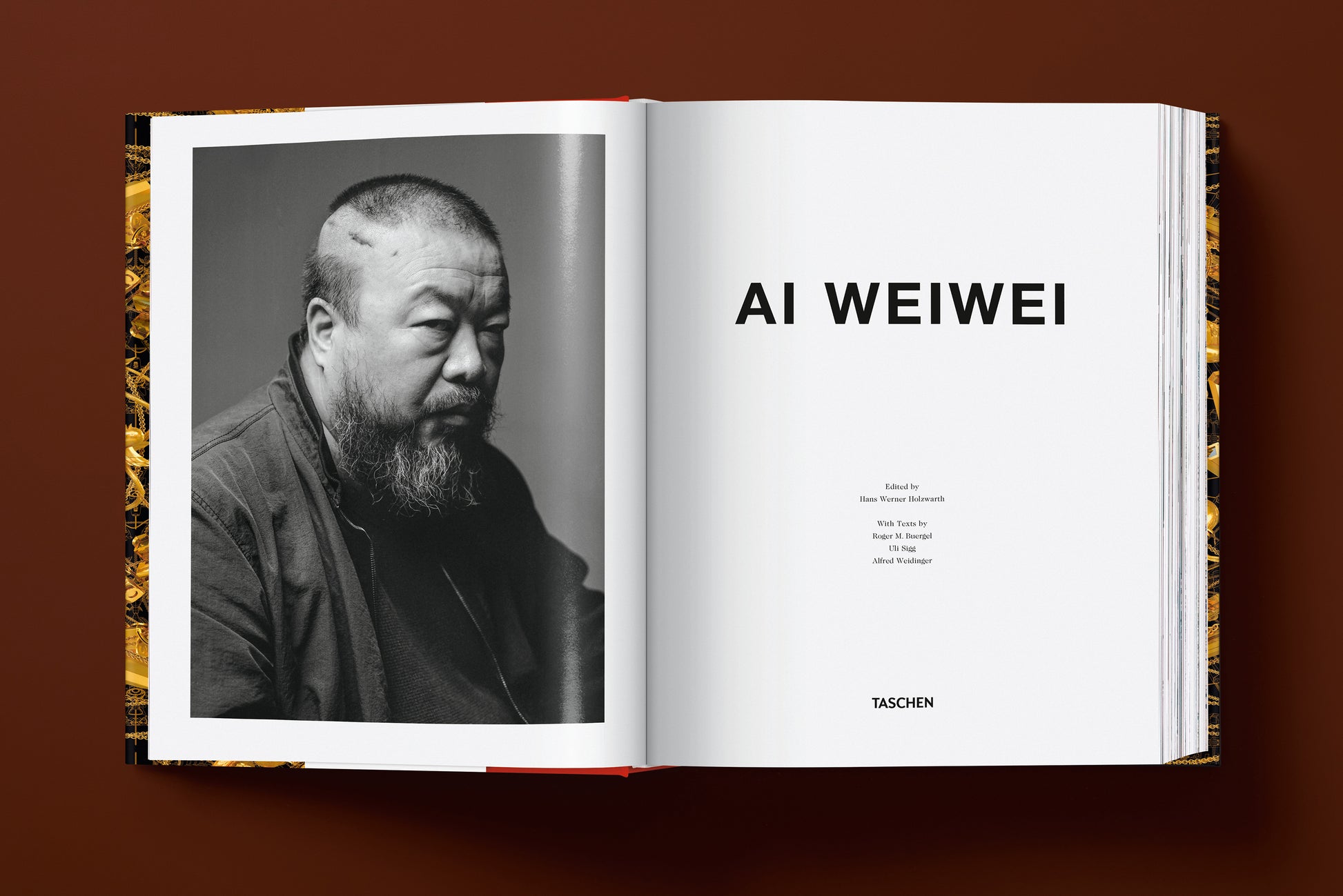 Ai Weiwei. Edición actualizada