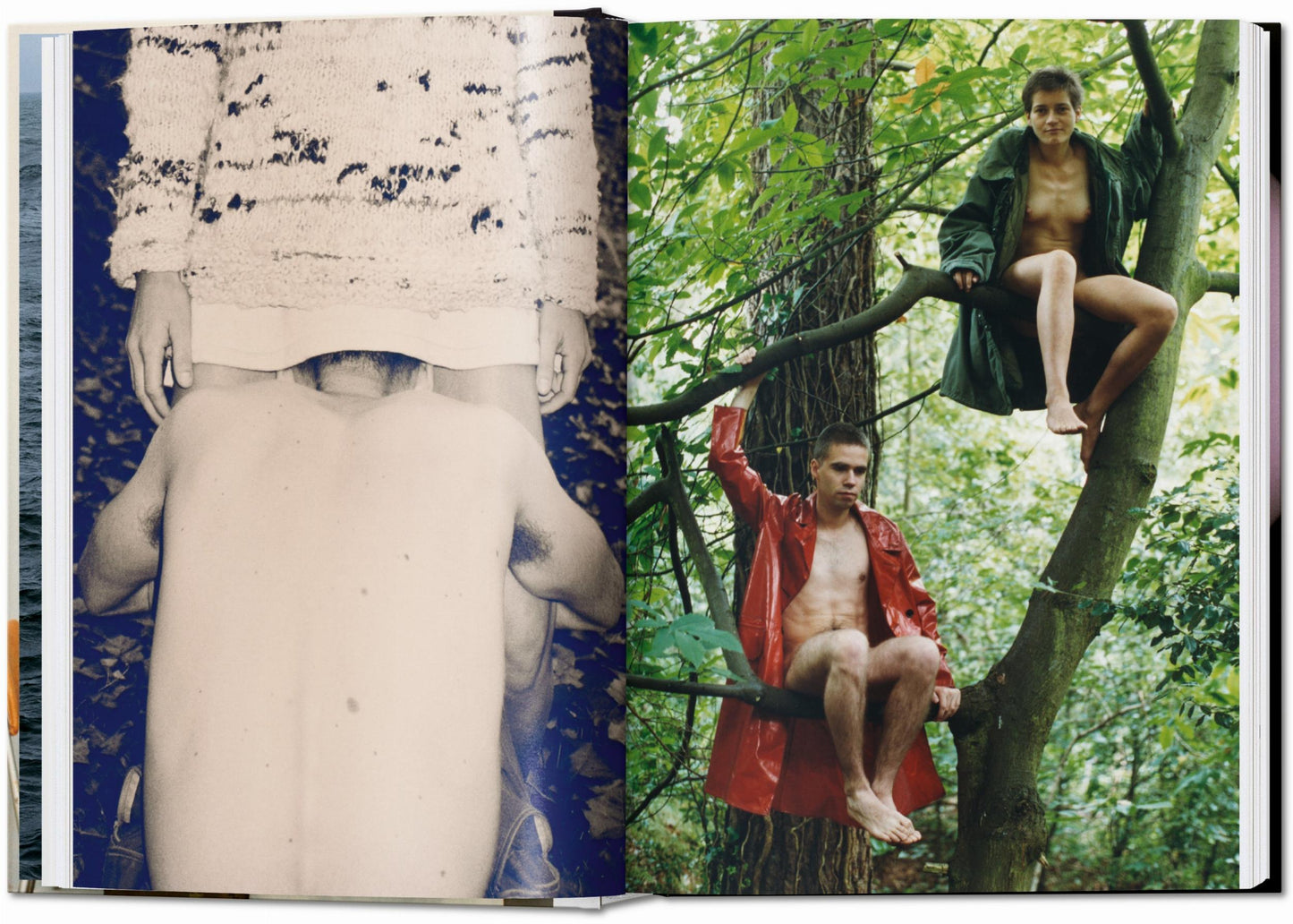 Wolfgang Tillmans. cuatro libros. 45.ª ed.