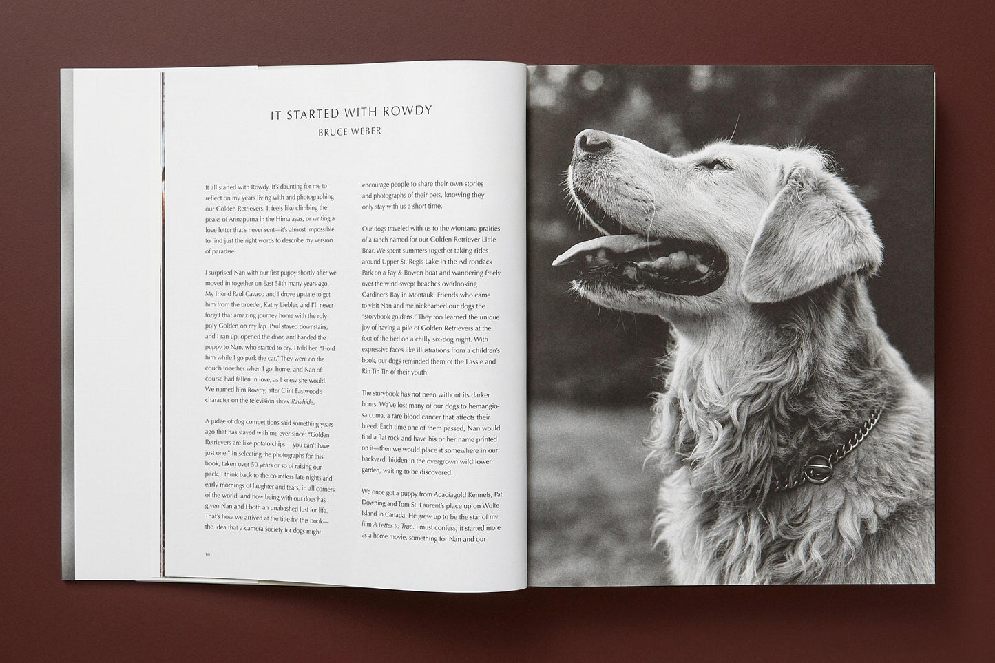 BRUCE WEBER. THE GOLDEN RETRIEVER PHOTOGRAPHIC SOCIETY