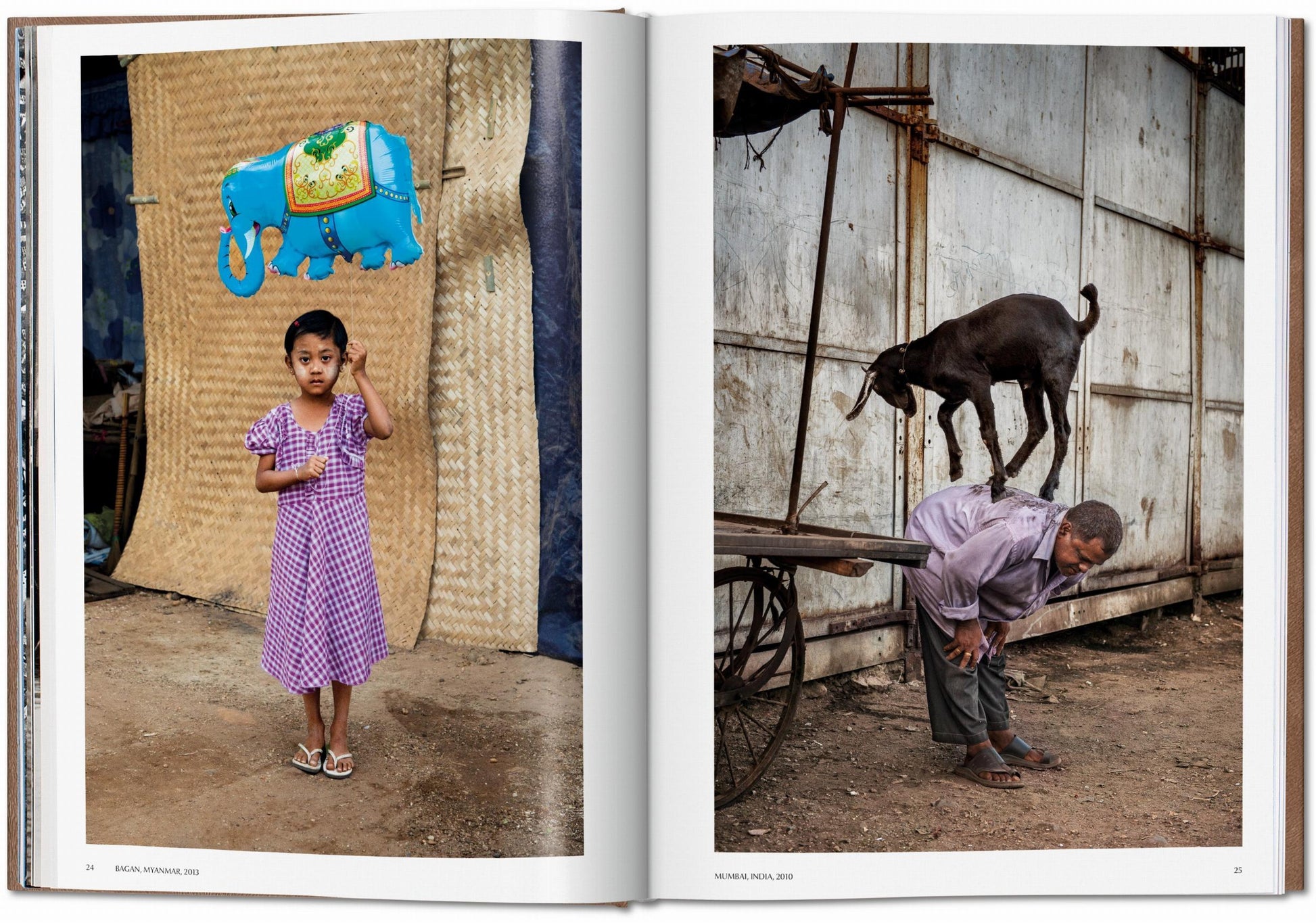 Steve McCurry. Animales. Edición de Arte N.º 101–200 ‘Chennai, India, 1996’