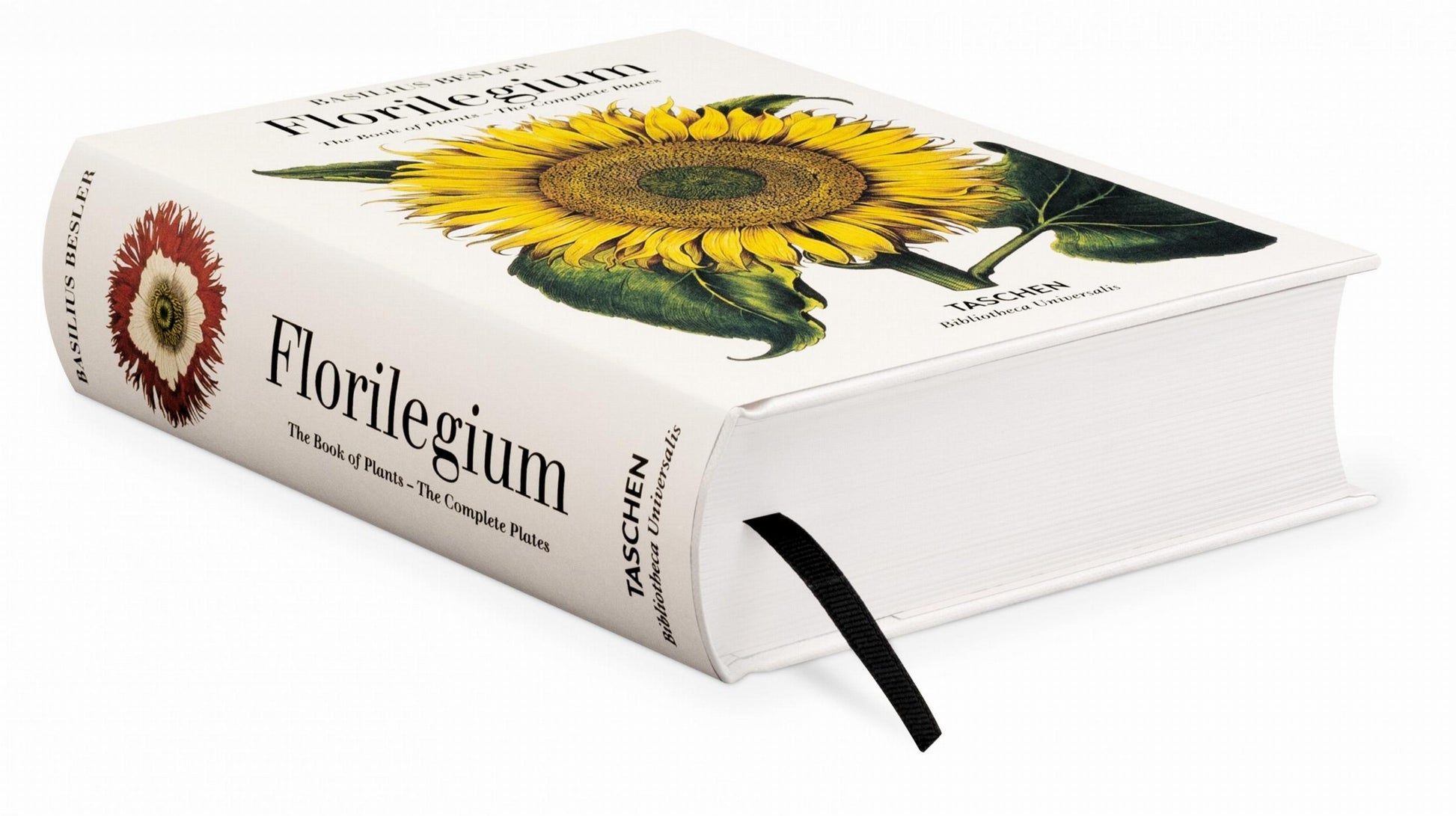 Basilius Besler. Florilegio. El libro de las plantas