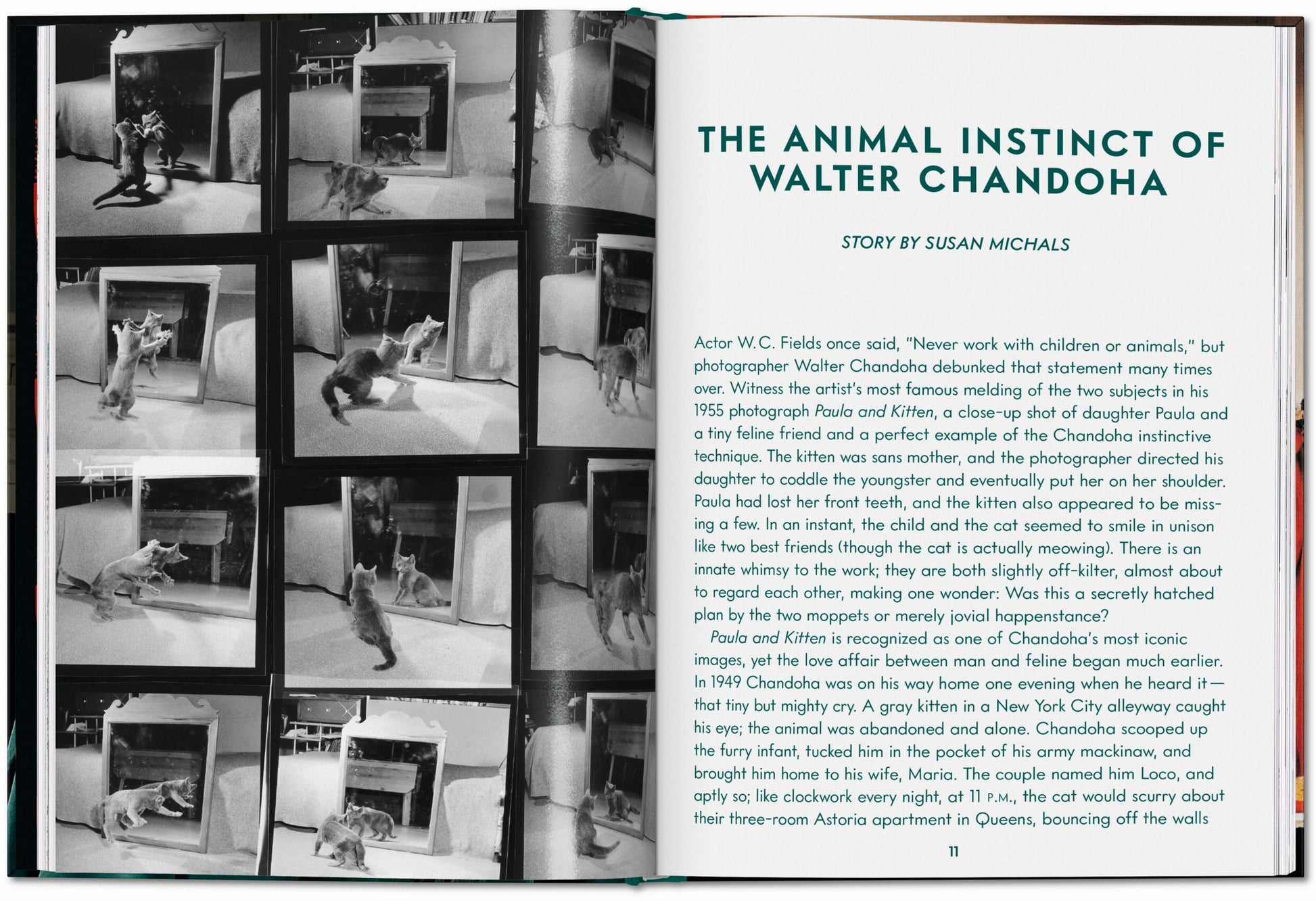 Walter Chandoha. Cats. Photographs 1942–2018
